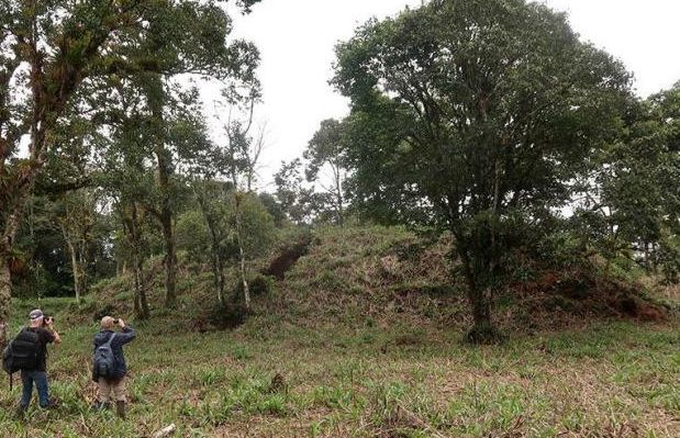 Descubren antiguas ciudades agrarias en la Amazonía ecuatoriana