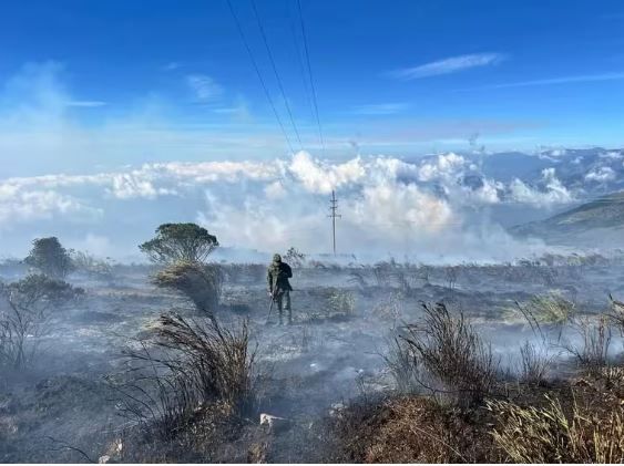 Plan de acción nacional para enfrentar la crisis climática