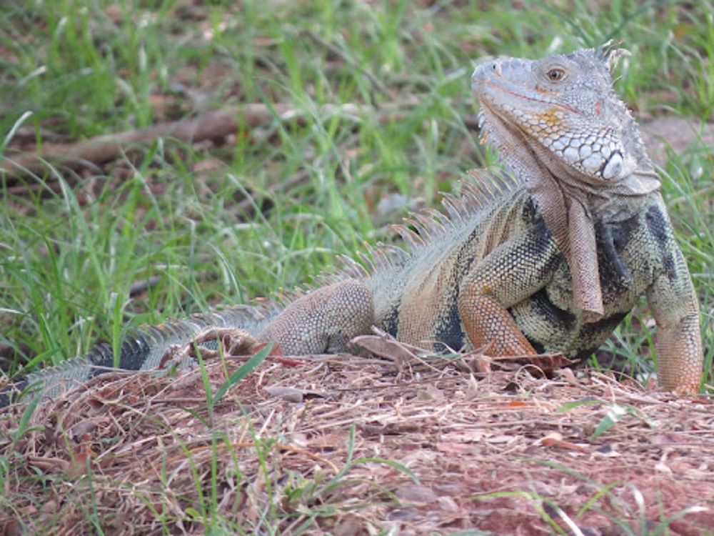 Plan de Desarrollo enfocado en la preservación del medio ambiente es prioridad en Barrancabermeja