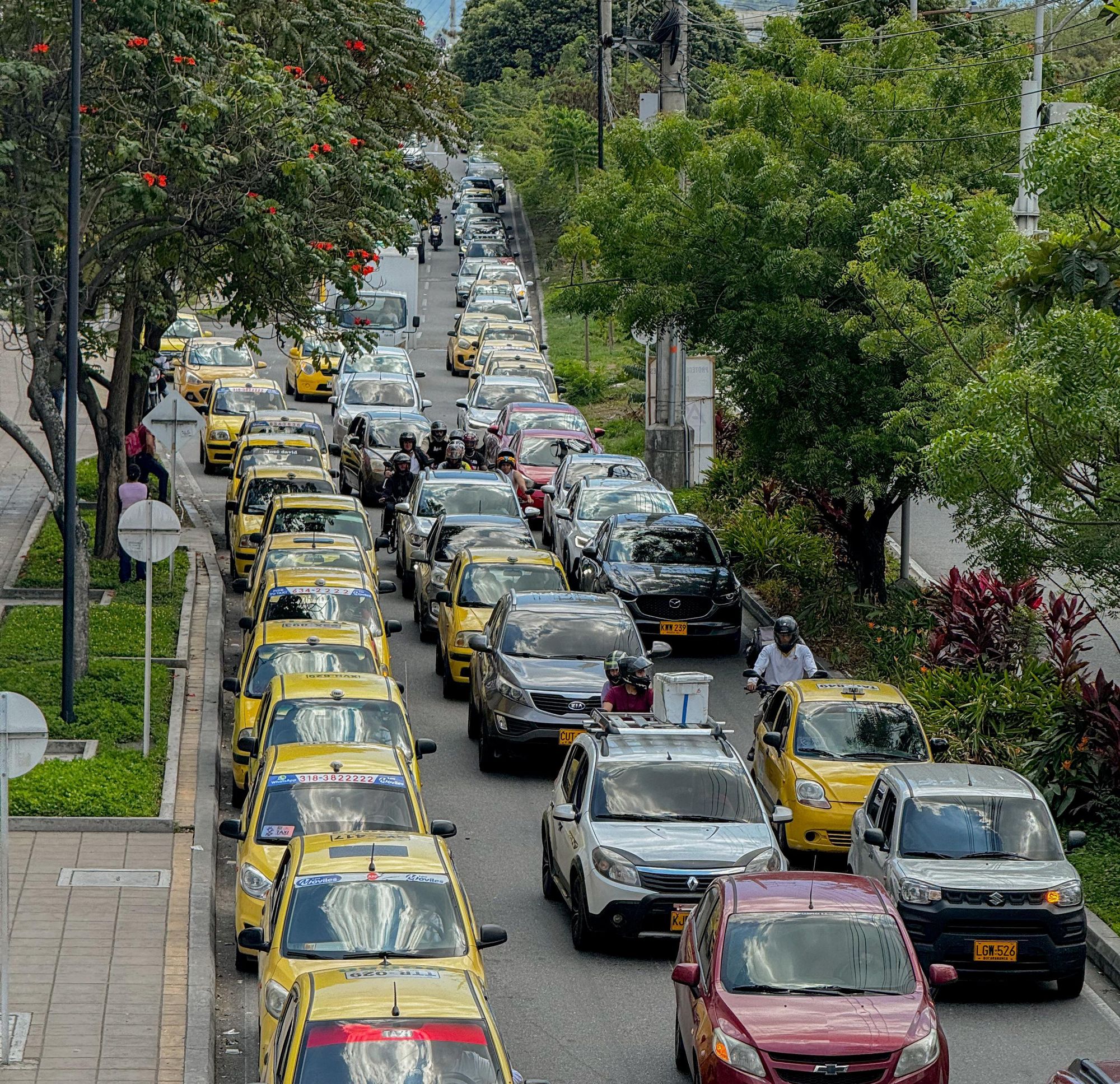 Floridablanca adoptó medida del Pico y Placa sectorizado
