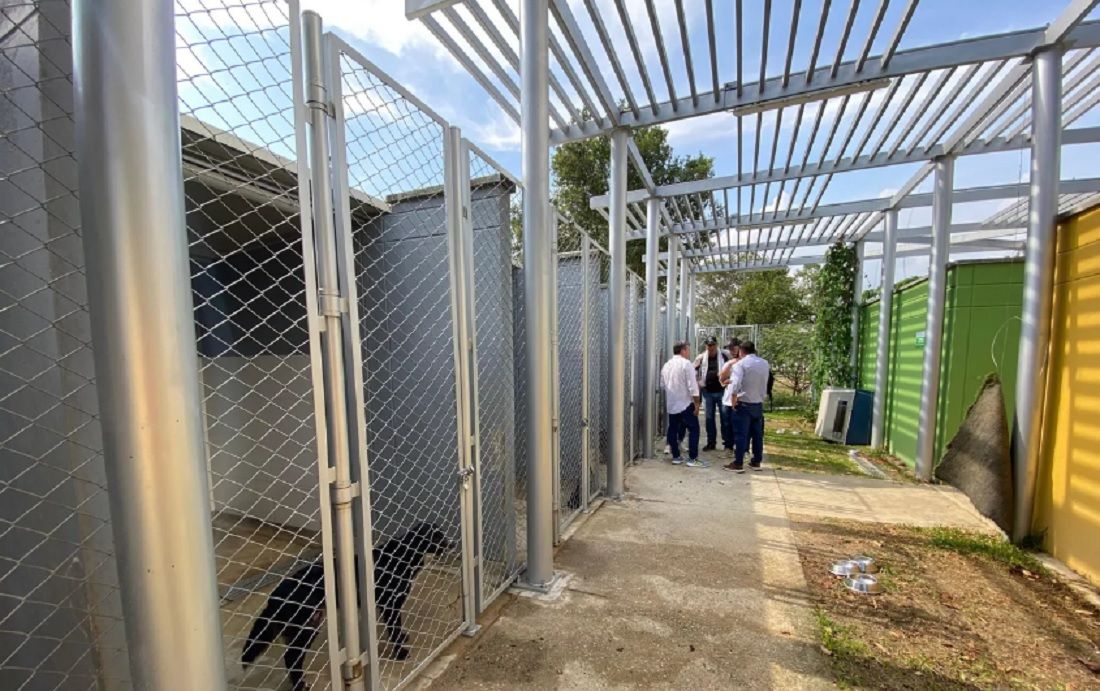 Denuncian precarias condiciones en la Unidad de Bienestar Animal de Bucaramanga