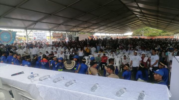 Cocaleros del Catatumbo entrarán en paro el 15 de marzo tras incumplimiento del Gobierno