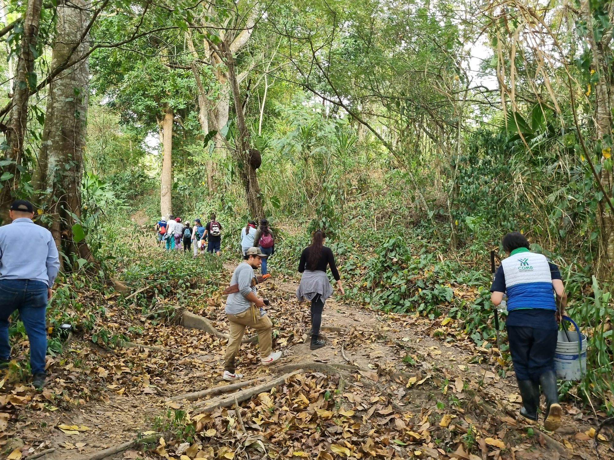 CDMB invita a proteger a los animales afectados por los incendios en Santander