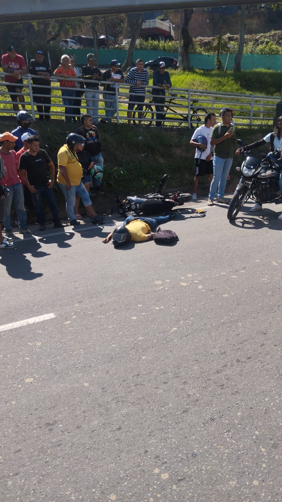 Motorizado falleció tras ser arrollado por camión 'Pollero'