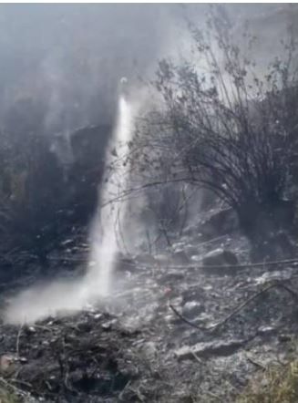 Bomberos atendió incendio forestal en las Transversal Metropolitana