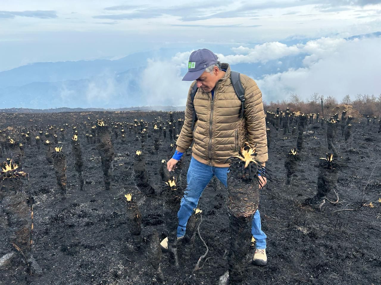 Investigadores de la UIS lideran esfuerzos para restaurar el Páramo de Berlín