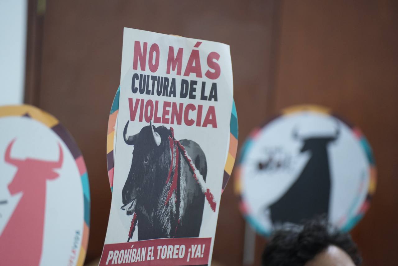 Prohibición de las corridas de toros en Colombia sería inminente