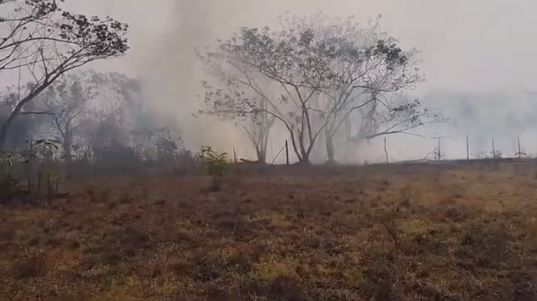 Incendio forestal amenaza la tranquilidad de Puerto Wilches