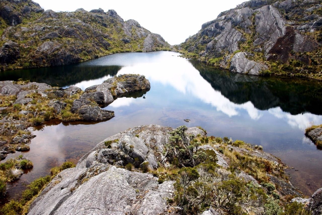 Triunfo absoluto de Colombia contra multinacional para proteger Santurbán