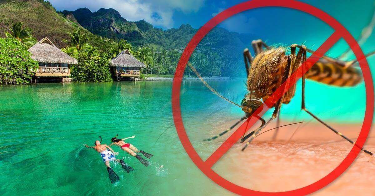 Conozca la razón por la que solo en este país del mundo no hay mosquitos