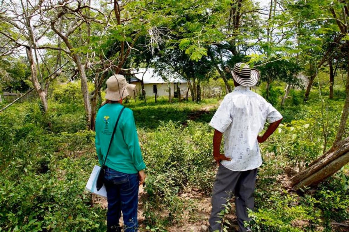 Irregularidades afectan plan de formalización masiva de propiedad rural, revela estudio de la CGR