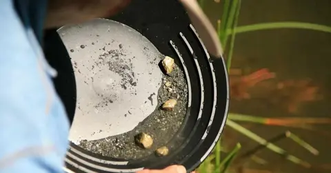 El uso de mercurio mantiene en riesgo latente el agua del Área Metropolitana