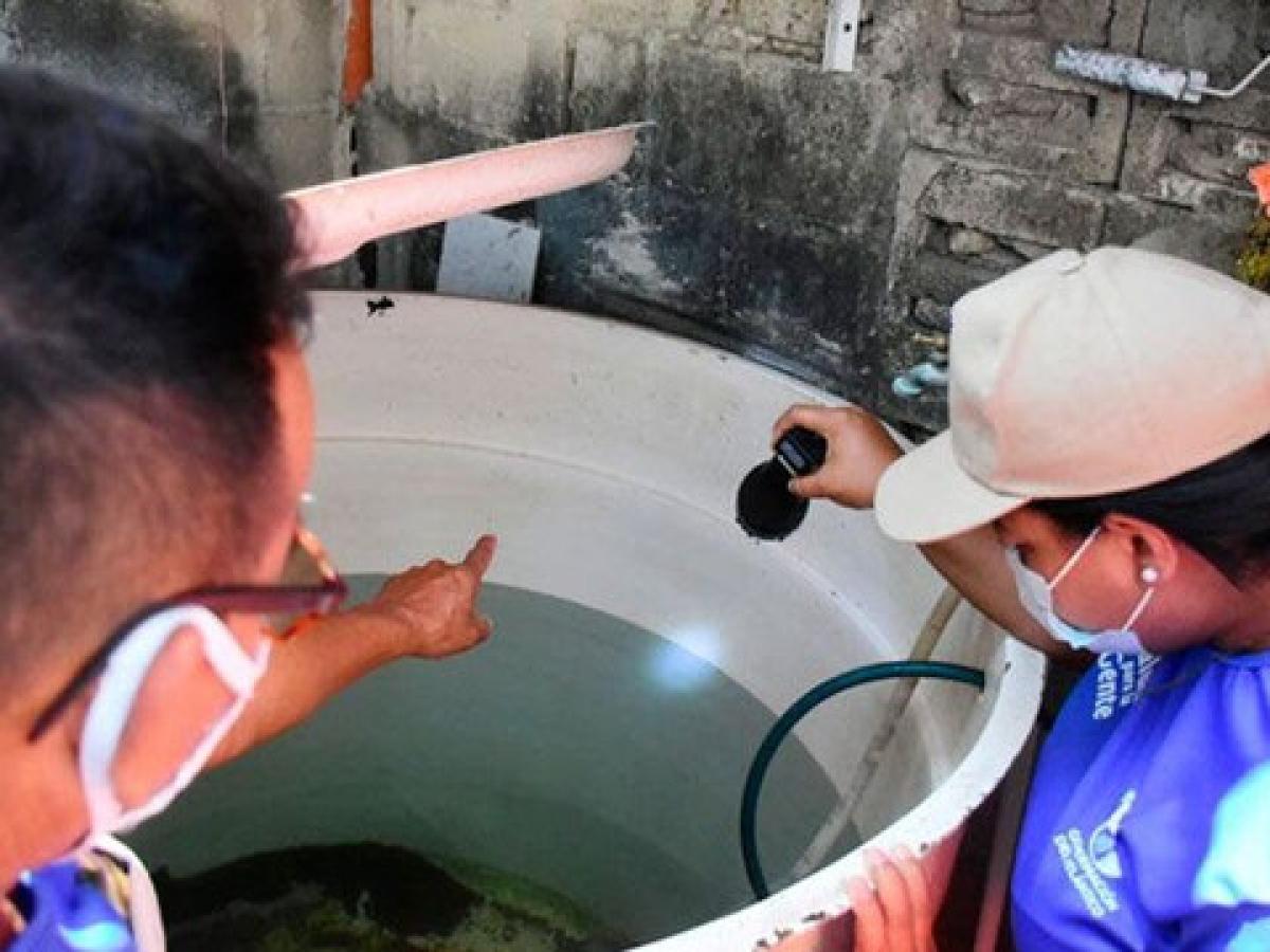 En la ‘Ciudad Bonita’ se le cortan las alas al dengue