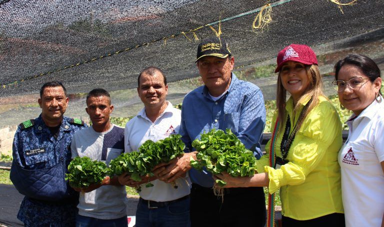 Pospenados cultivan sueños con en el café