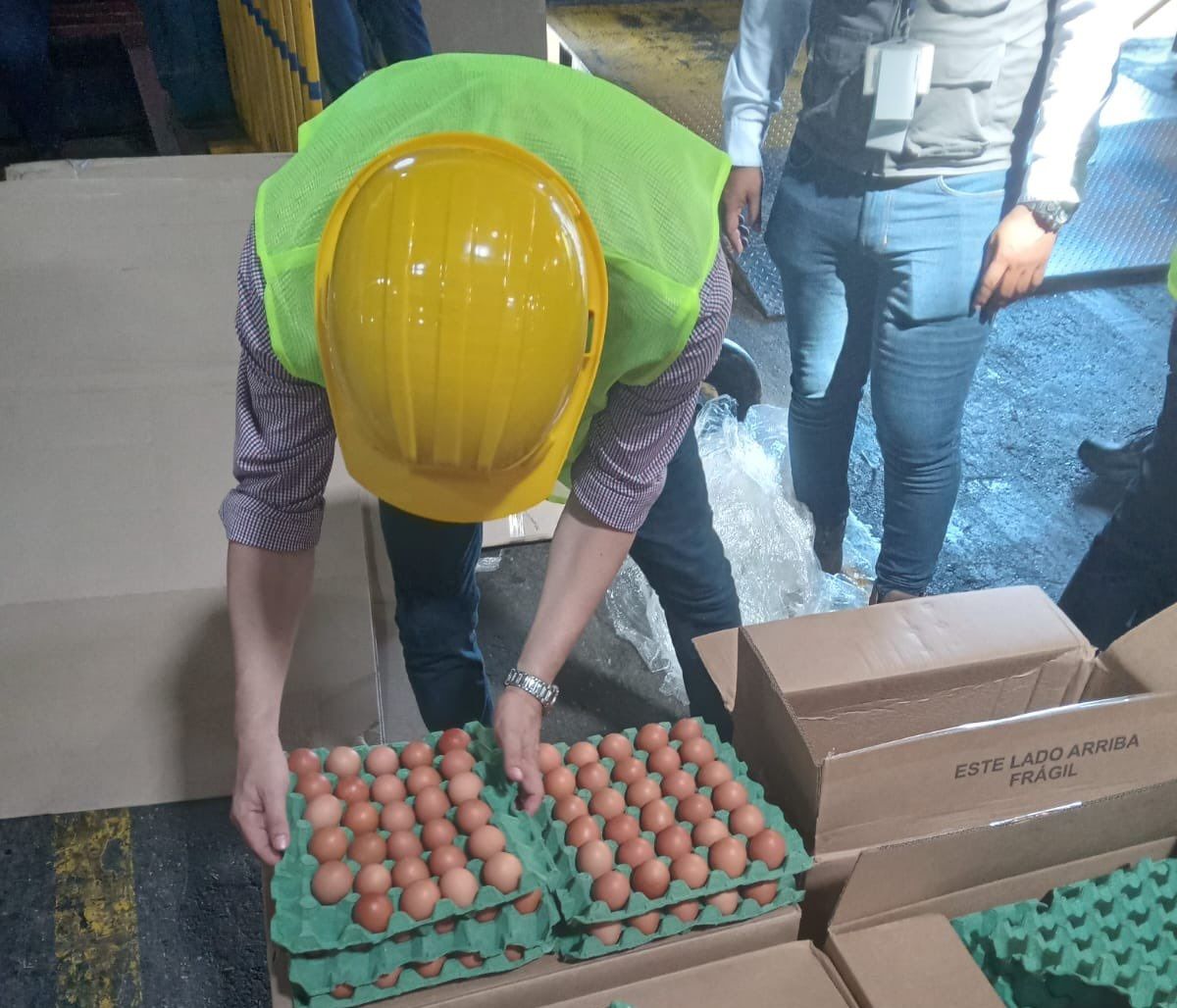 Colombia exporta huevos a Cuba en un nuevo hito para el sector avícola