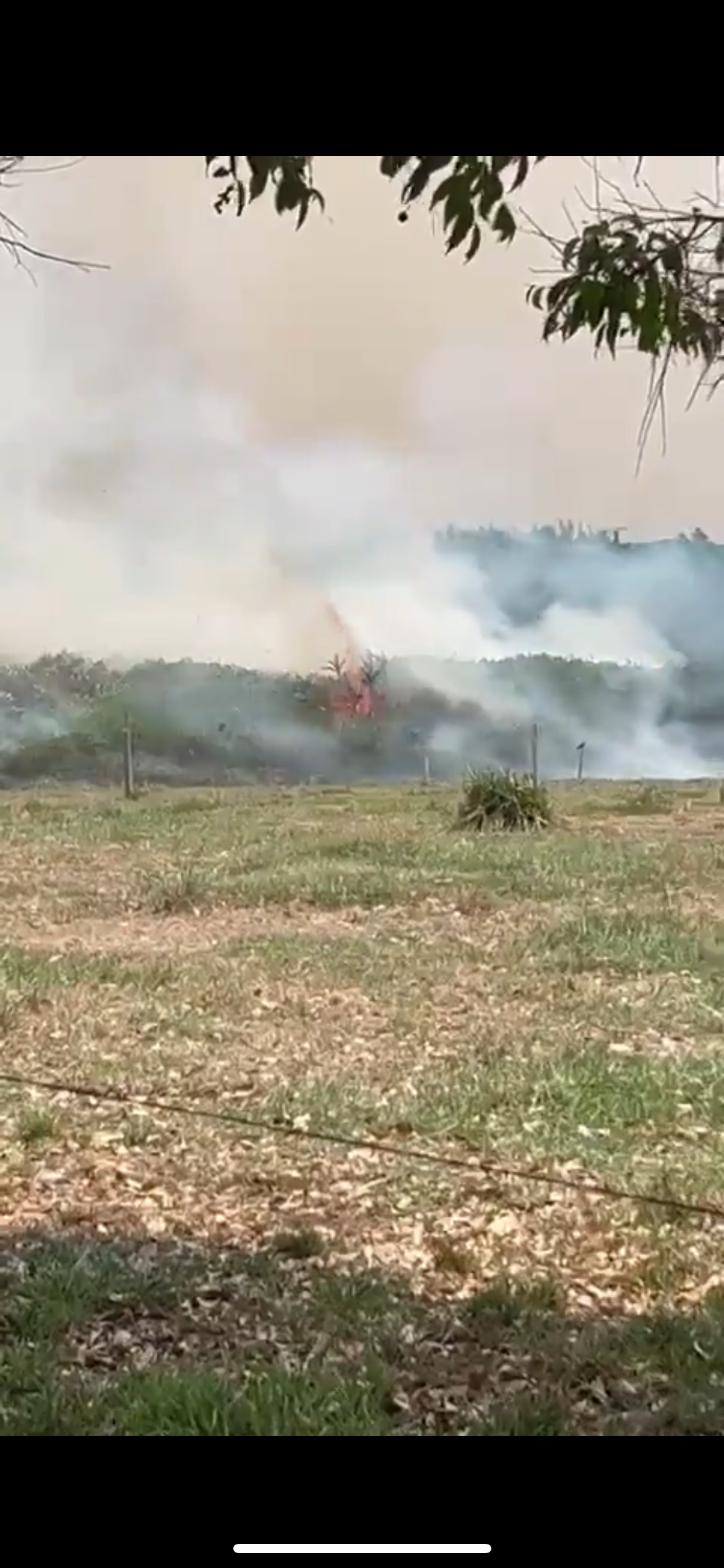 Autoridades buscan apagar emergencia en el Bajo Rionegro