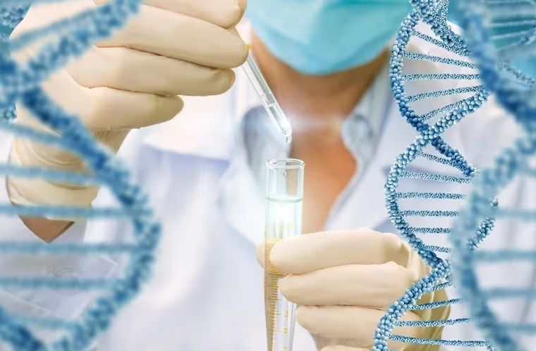 Harvard desarrolla un método para predecir el envejecimiento celular