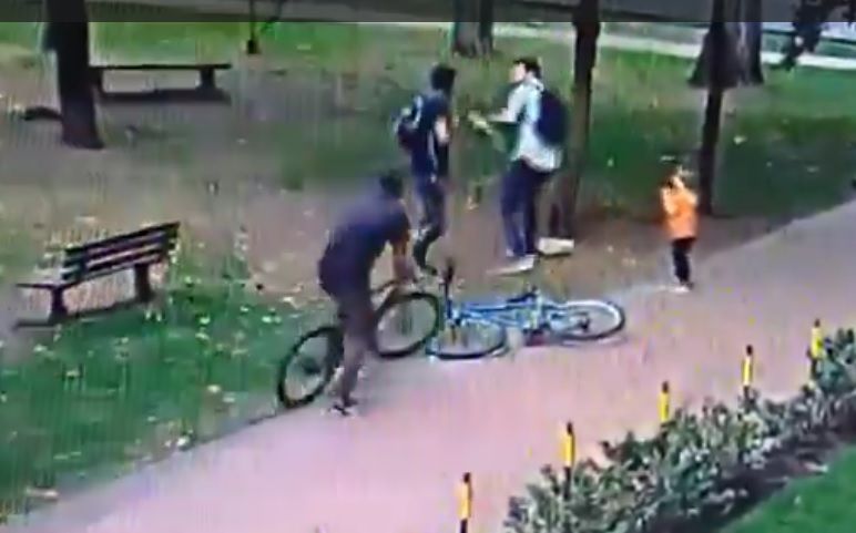 VIDEO. Padre e hijo fueron víctimas de atraco en un parque
