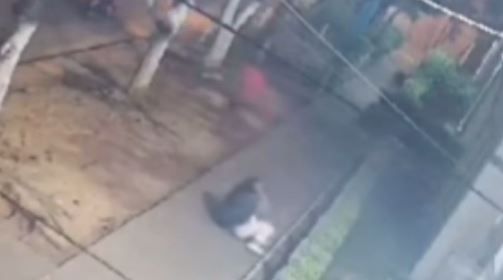 En Campo Hermoso arrastraron a una mujer para robarle el celular