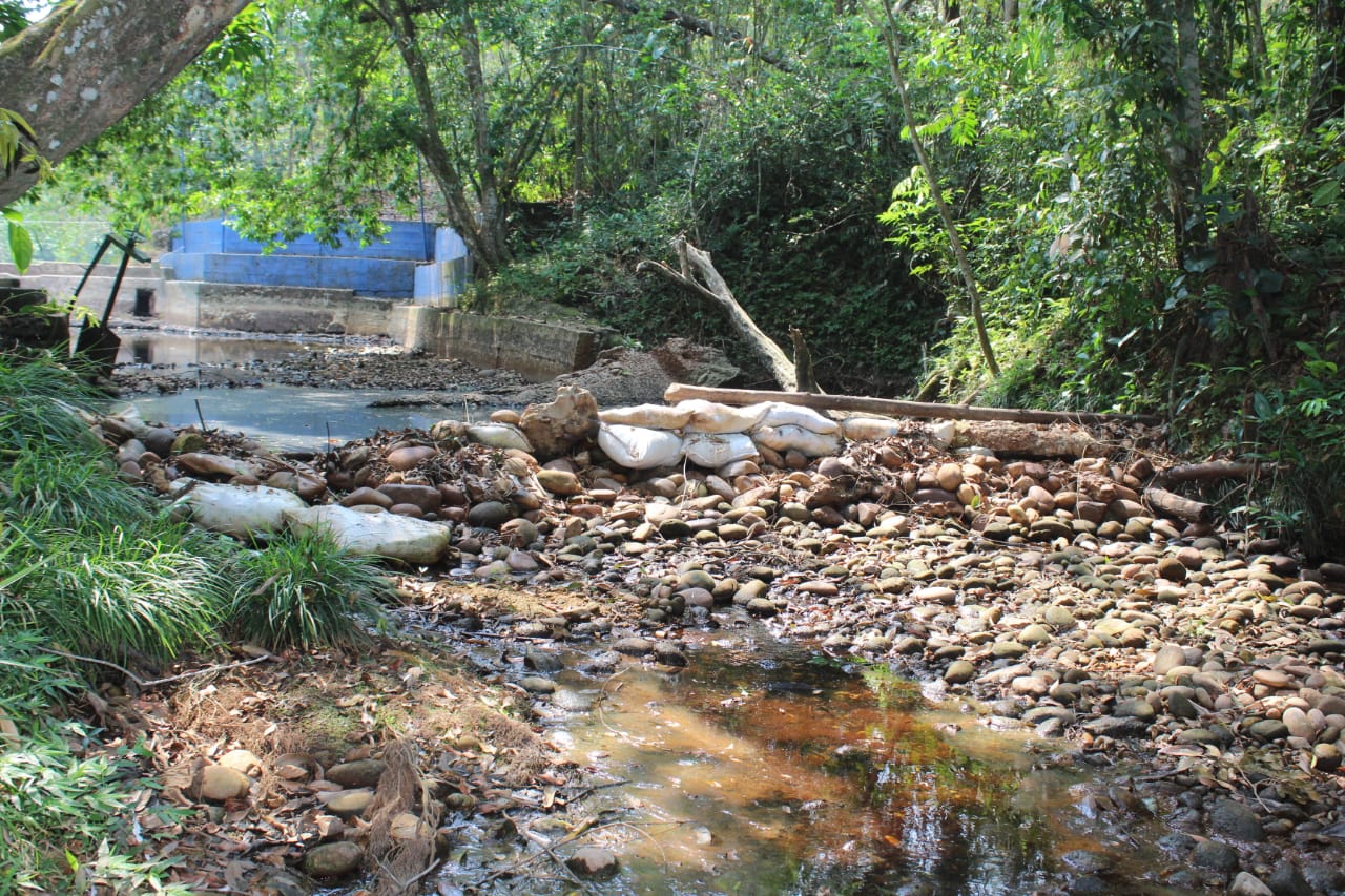 Represa de Sabana de Torres en estado crítico