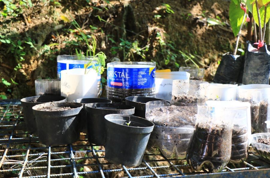 Estudiantes de la UDES cultivan huerta para Hogares CREA