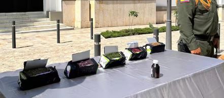 Camuflados en productos lácteos carabineros encontraron caleta de alucinógenos