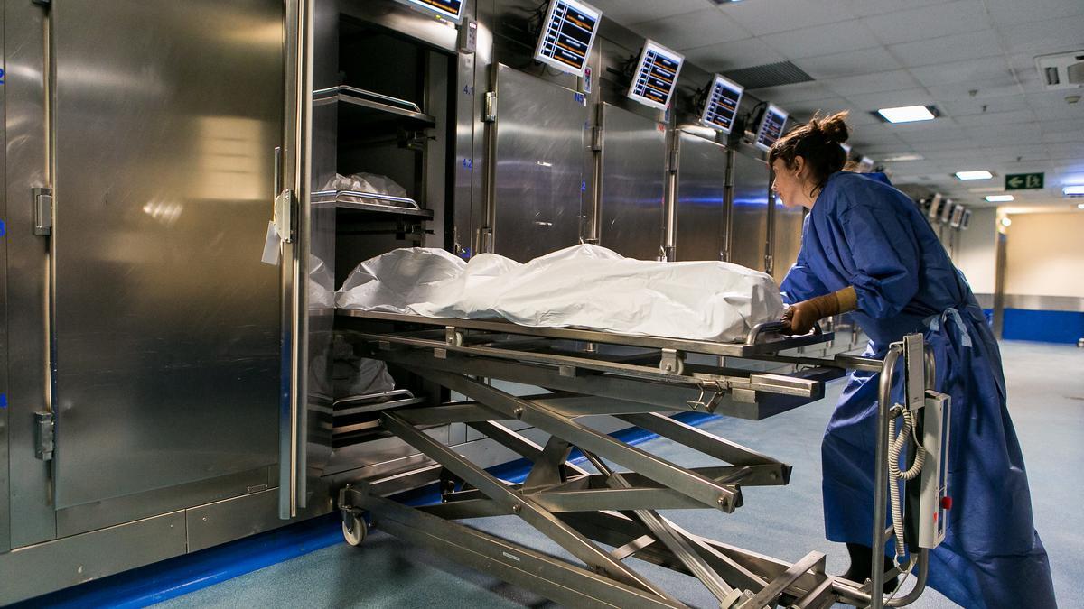 Esposa de médico forense armó una compra venta con partes humanas