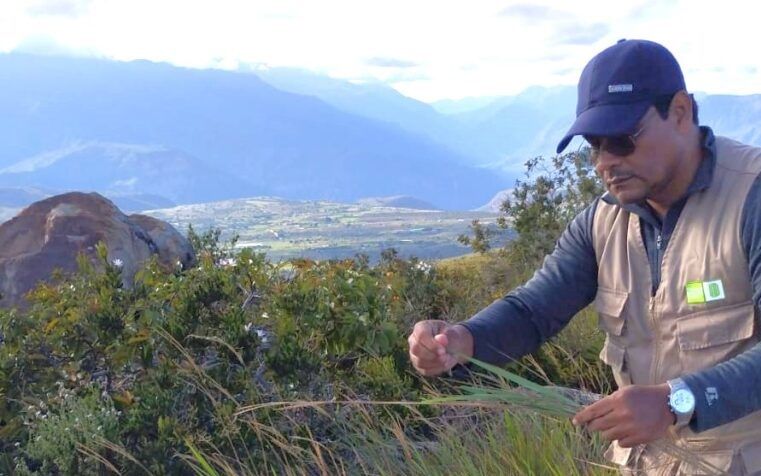 Un santandereano tendrá lugar de honor en Doctorado Interinstitucional en Bioenergía en Sao Paulo, Brasil