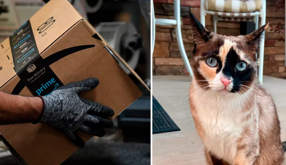 Galeana atravesó Estados Unidos al ser enviada dentro de una caja de Amazon