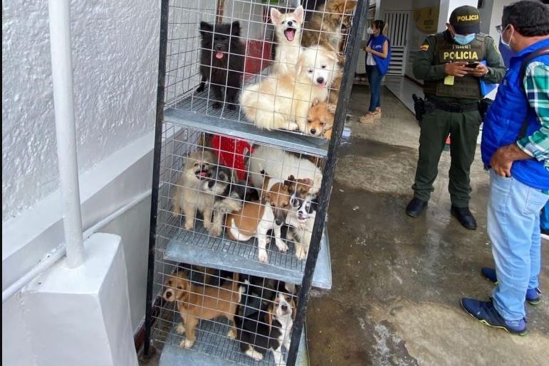 Atención: Capacidad copada en la UBA de Bucaramanga