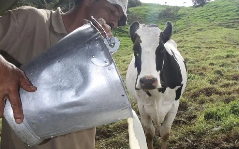 Asoleche llama a un trabajo conjunto para fortalecer la cadena láctea colombiana