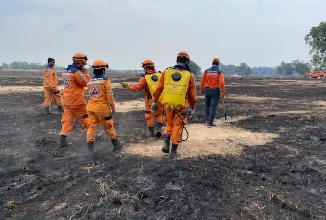 Incendio forestal consumió bosques y cultivos en Bajo Rionegro