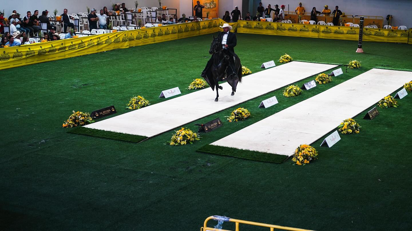 Éxito rotundo en la XXXIII Exposición Equina Grado B en Floridablanca