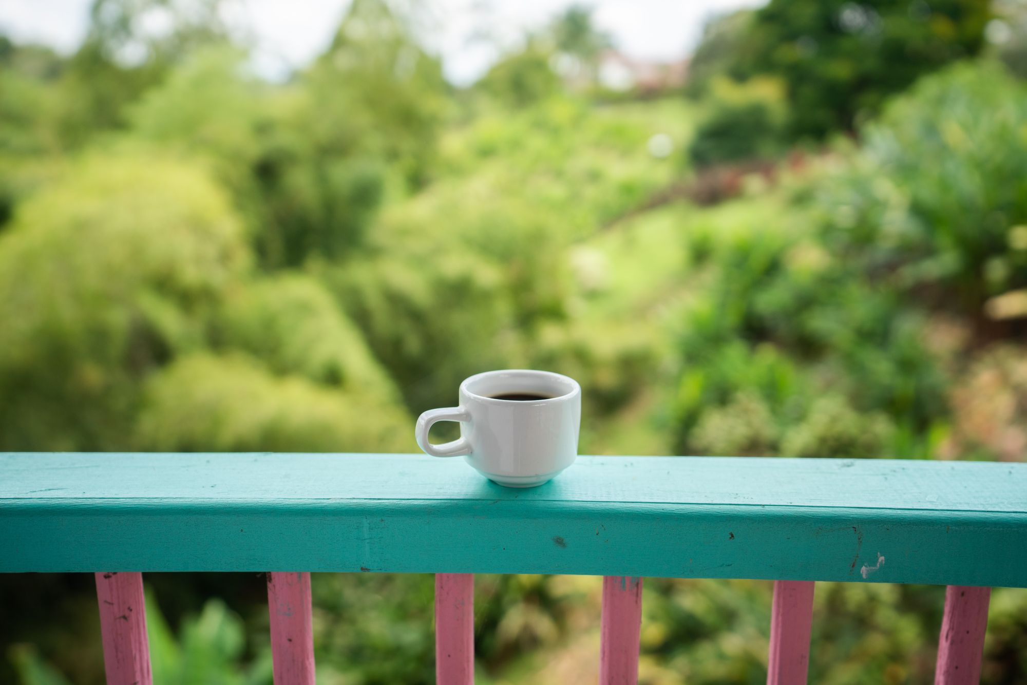 En Neomundo se escoge la ‘Mejor Taza de Café’ en Santander