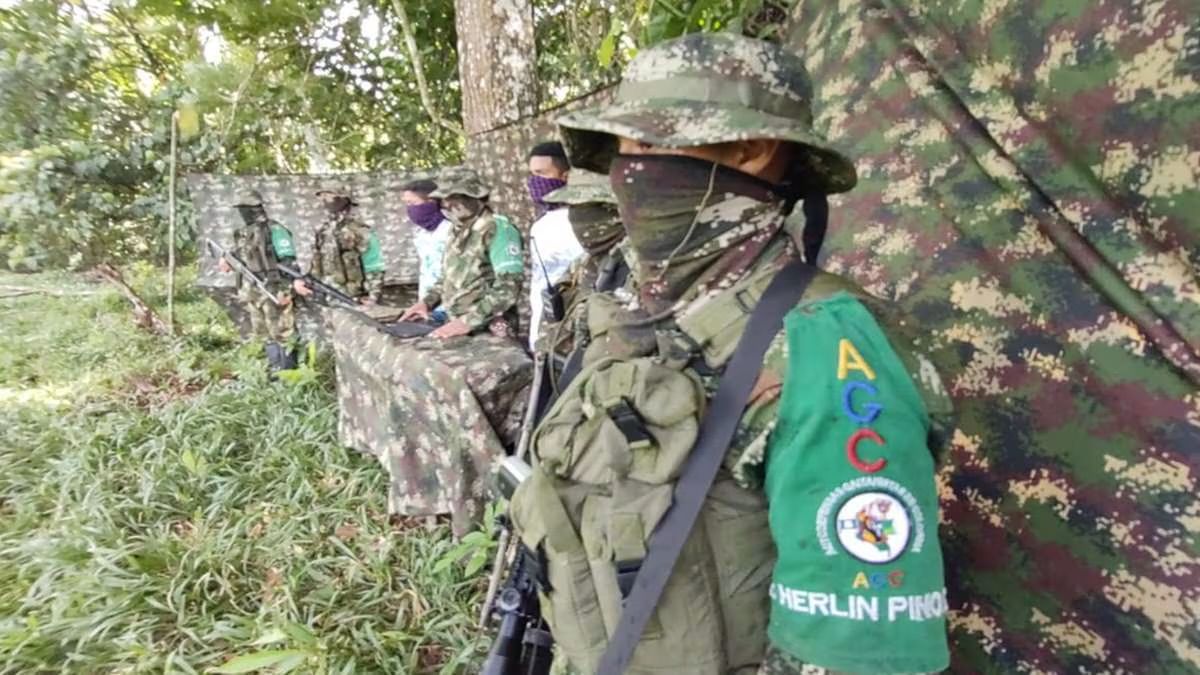 Clan del Golfo estaría adueñándose del Páramo de Santurbán