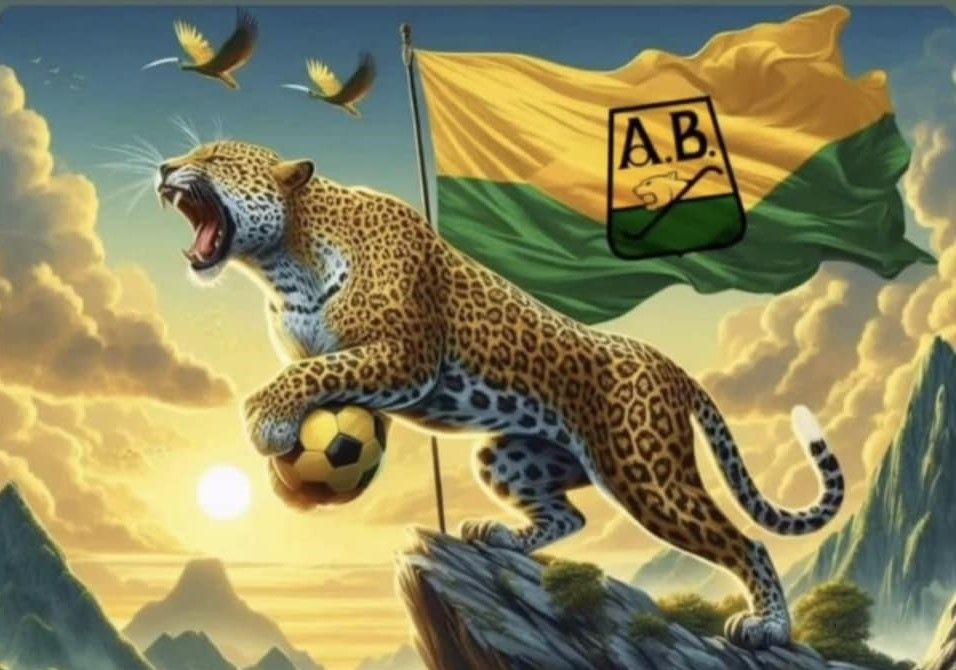 Una historia que no me han contado… la he vivido ¡locos por el leopardo!