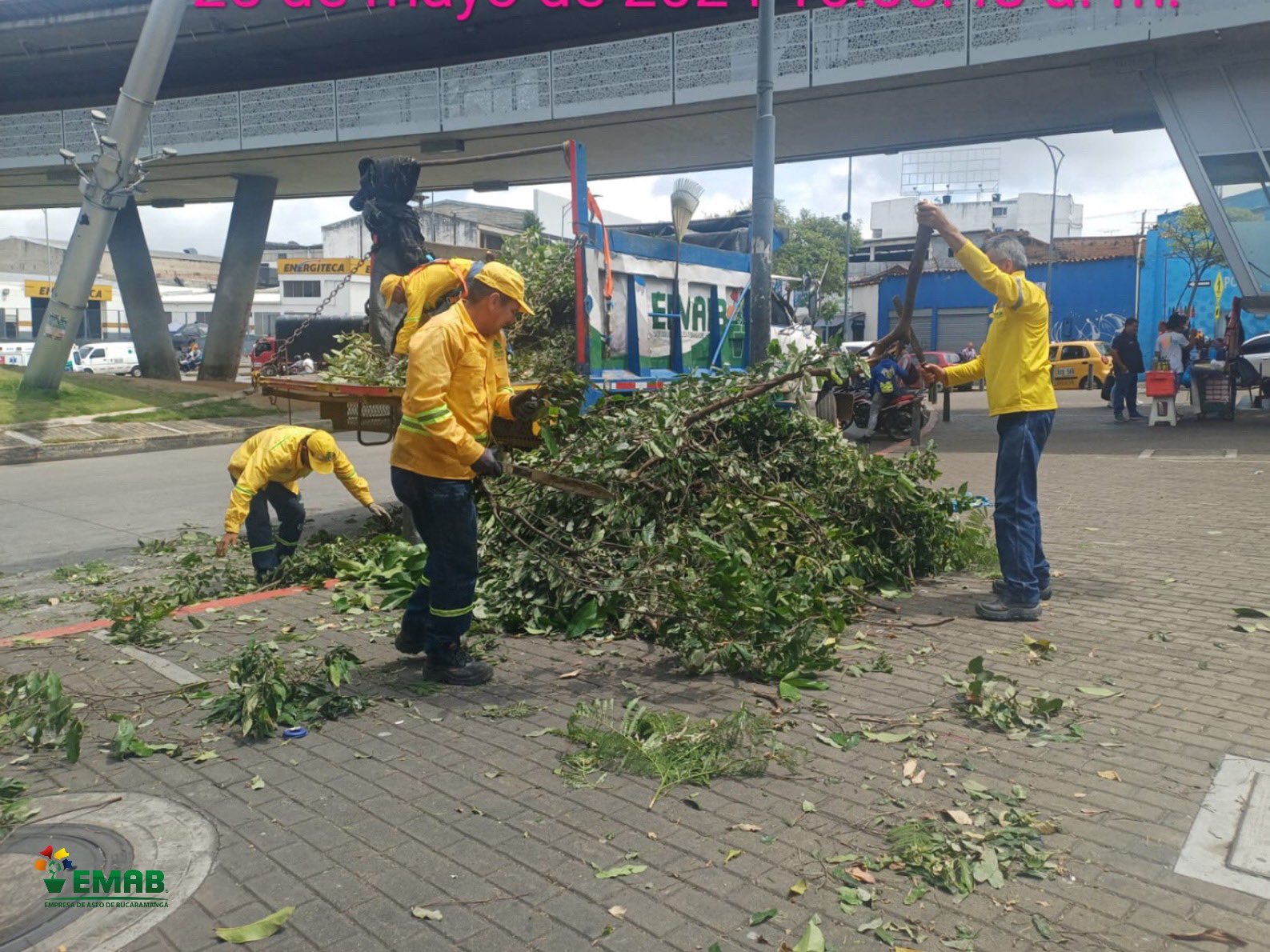 Fuerza Amarilla de EMAB transformó la plazoleta de la Avenida Quebrada Seca en Bucaramanga