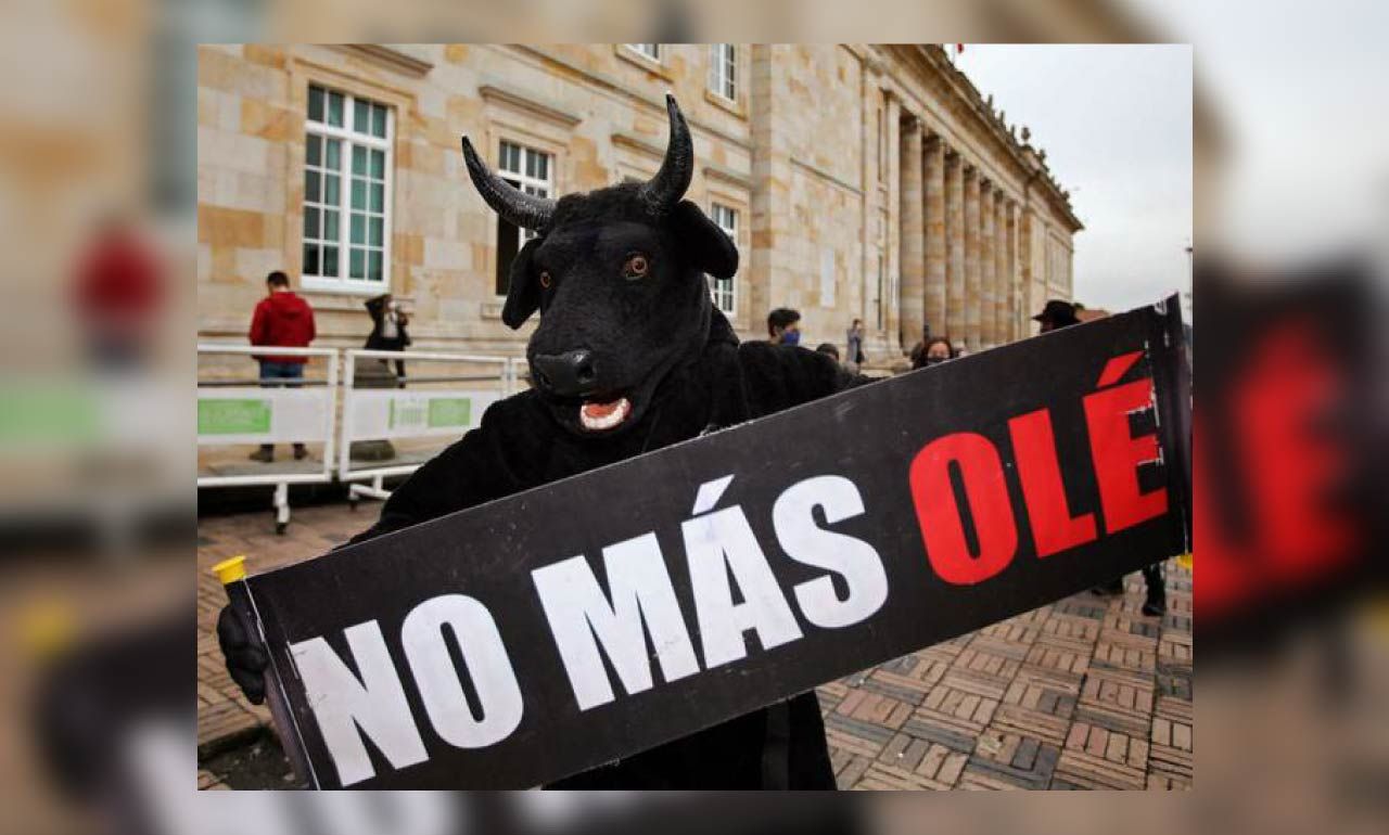 ¡Los Toros no van más en Colombia!
