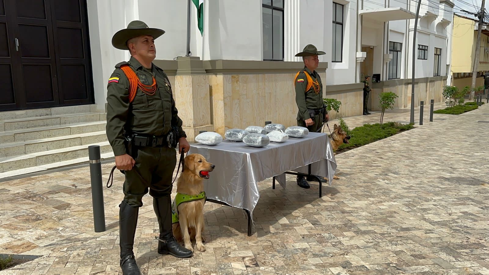 La nariz de 'Baileys' desbarata intento de contrabando de estupefacientes