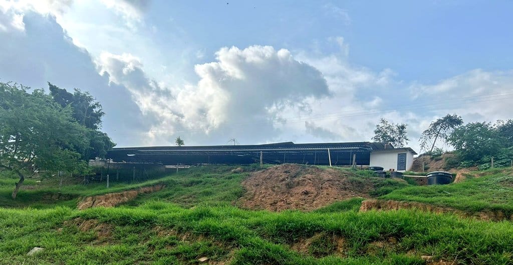 Impacto ambiental: Suspenden temporalmente empresa Porcícola en Girón