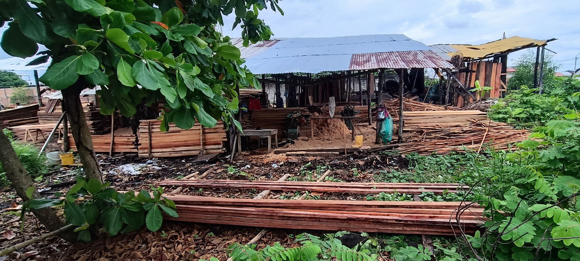 Incautados más de 8 metros cúbicos de madera ilegal