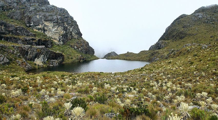 Gobierno Nacional rechaza extracción de oro en Páramo Santurbán a pesar de nuevo inversionista