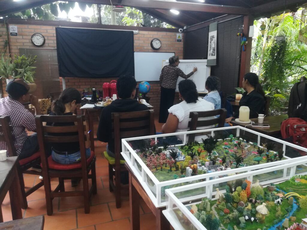 Plantas aromáticas: Nuevo impulso al desarrollo rural en el Valle del Río Cimitarra