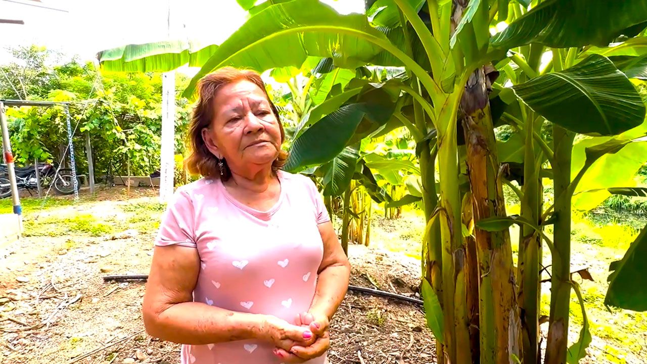 44 familias del sur del Cesar recibieron 494 hectáreas de tierra fértil