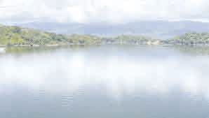 CAS reglamentará espejos de agua para búfalos y manatíes