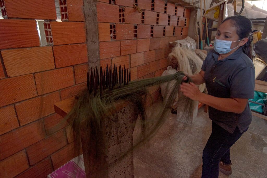 Curití lucha por mantener viva la tradición del fique