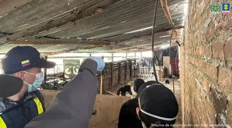 Desarticulan red de matadero clandestino que vendía carne enferma