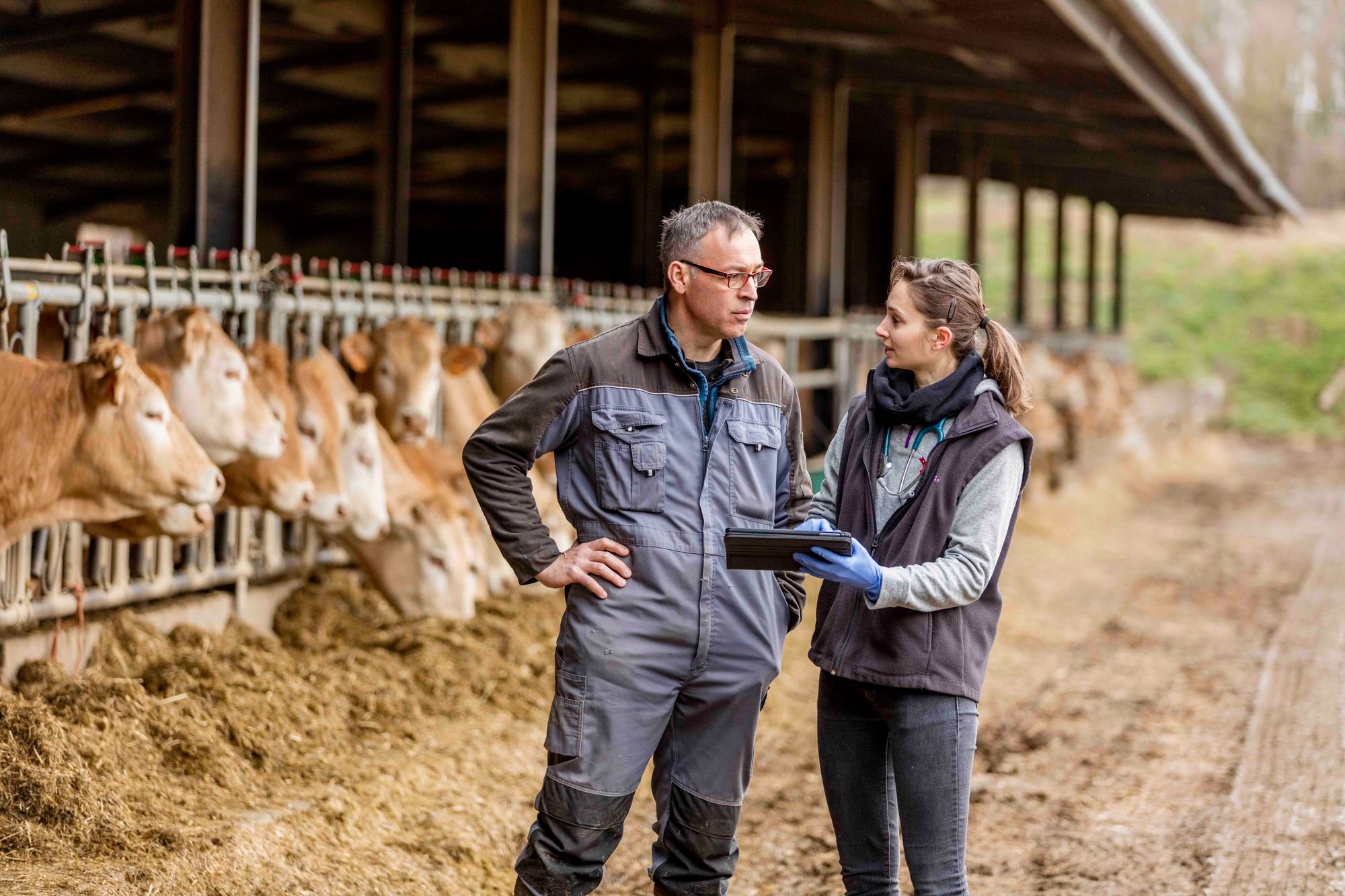 Día del Zootecnista: Su contribución a la seguridad alimentaria de Colombia