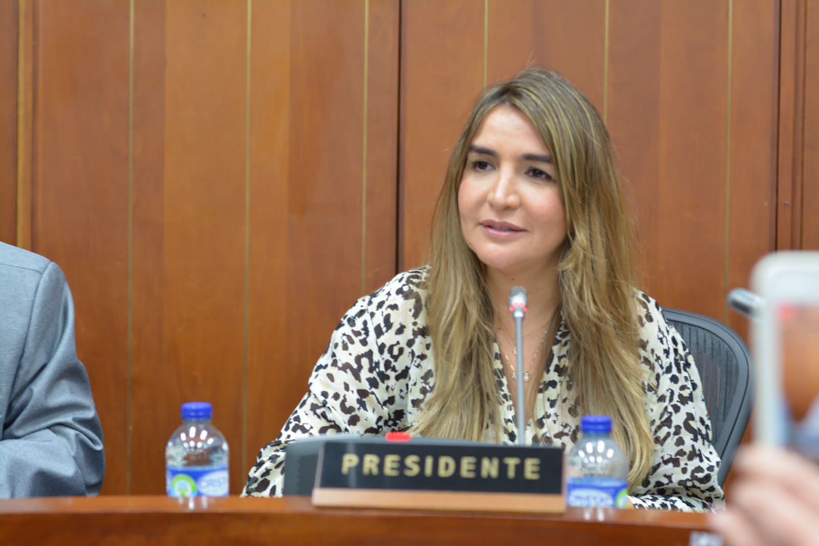 Así es Nadia Blel, primera mujer en presidir al Partido Conservador