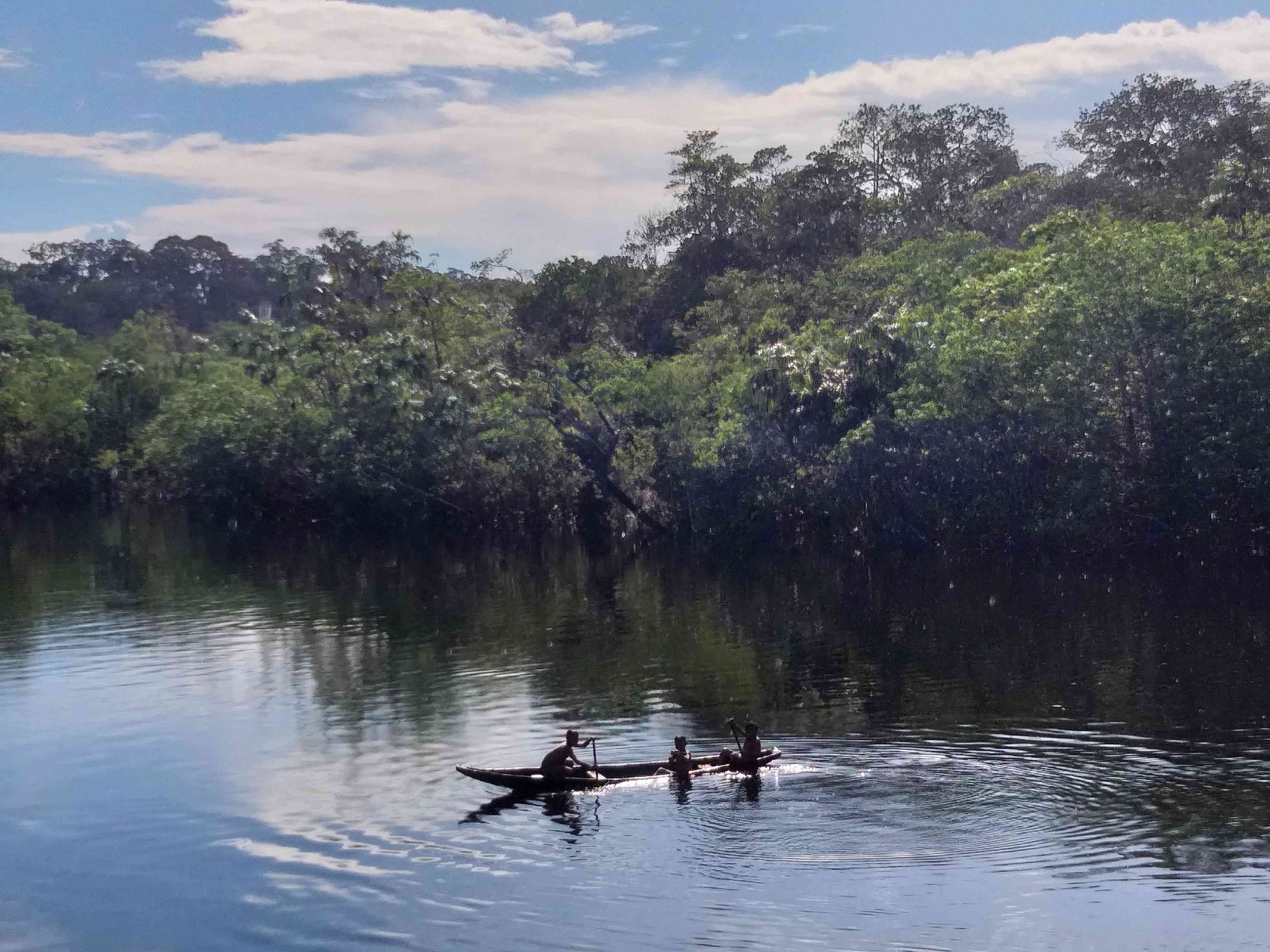 Corte Constitucional anula acuerdo de créditos de carbono por presunto fraude en Vaupés
